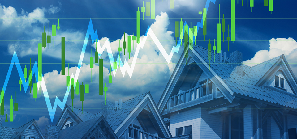 Buyers and brokers have facts about market time and price changes